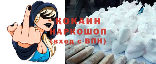 амф Гусь-Хрустальный