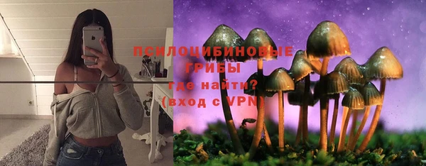 МДПВ Вяземский