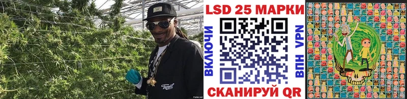 как найти закладки  OMG   Марки NBOMe 1,5мг  Заозёрный 
